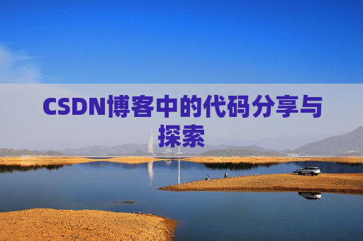 CSDN博客中的代码分享与探索